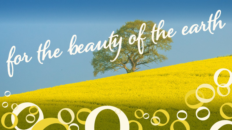 The Beauty of Earth - Konzerte