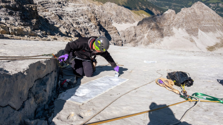 Gipfelstürmende Dinosaurier! – Spuren von Dinosauriern im Hochgebirge
