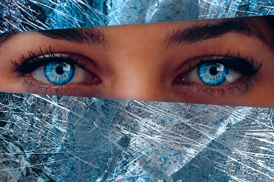 Sophia oder das Ende der Humanisten