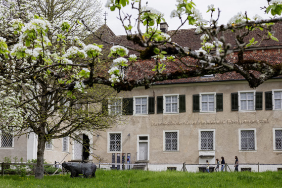 Doppelvernissage