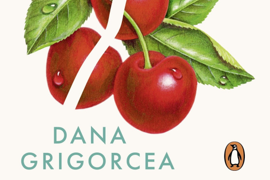 Lesung mit Dana Grigorcea