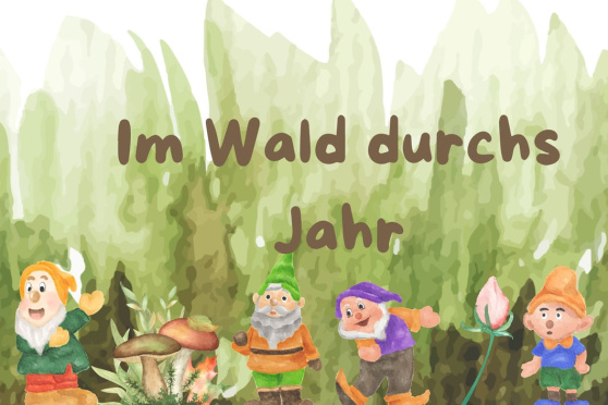 Im Wald durchs Jahr