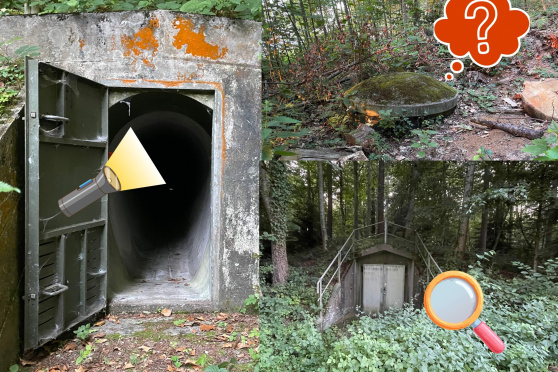 Psst – geheim! Auf Bunkersuche im Wald