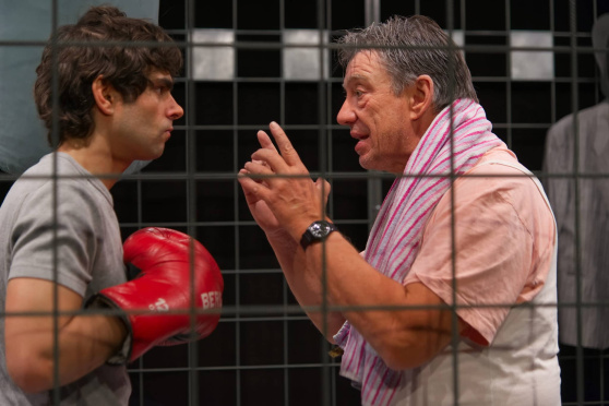 Das Herz eines Boxers - Theater Bilitz