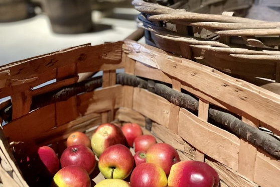 Apfel und Saft - Mitmachen & Geniessen