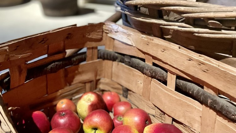 Apfel und Saft - Mitmachen & Geniessen