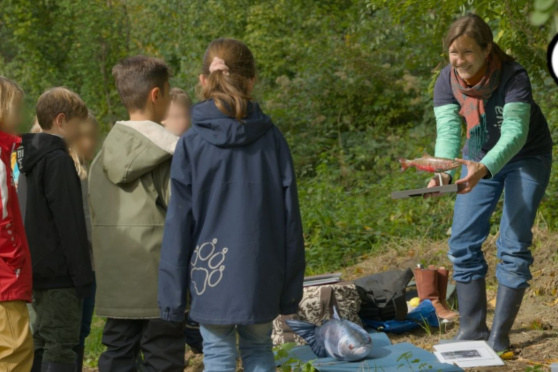 Fluss frei für den Lachs