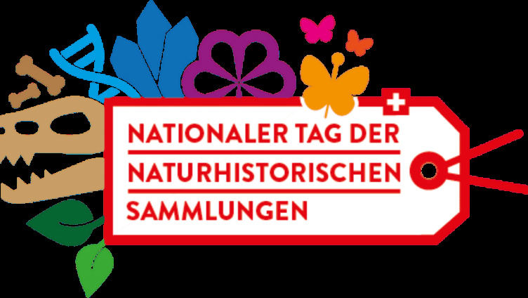 Türe auf - Blick in die Museumssammlung