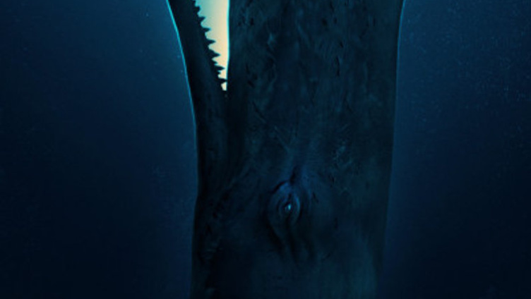 Whalefall