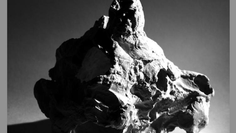 Lotterie trifft auf Seelennester