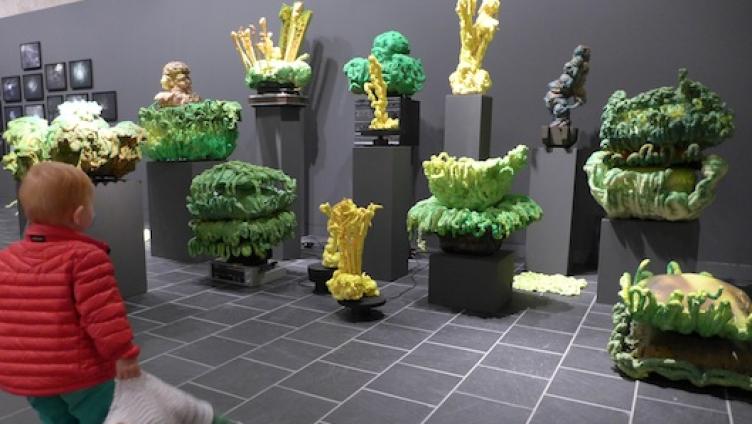 „Cha me aaluege“