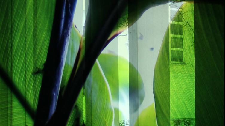 Neues im Kunstraum