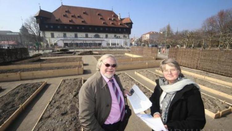 Konzilmole wird zur blühenden Landschaft