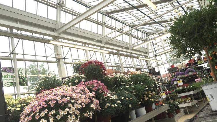 Historischer Verein auf Gartenspur