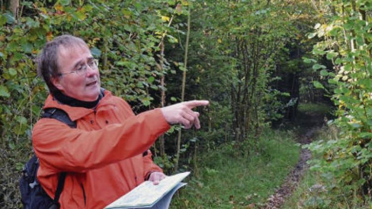 Spuren im Unterholz