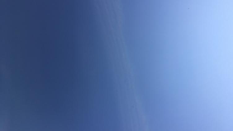 Fünf Gründe, warum wir uns auf den Sommer im Thurgau freuen