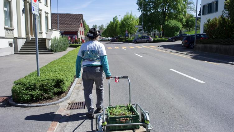 Ein Spaziergang mit Felix Brenner