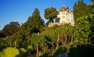 500 000 Franken für Schlosspark Arenenberg