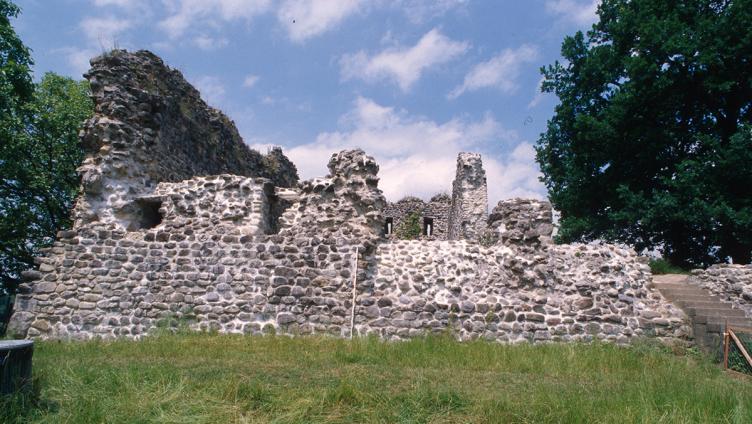 Ruine Helfenberg wird saniert