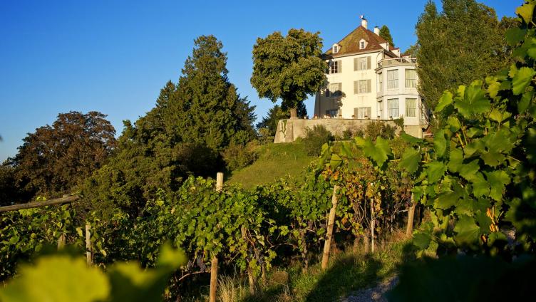 Doppelte Förderung für Napoleons Garten