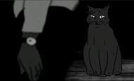 Film noir mit Katze