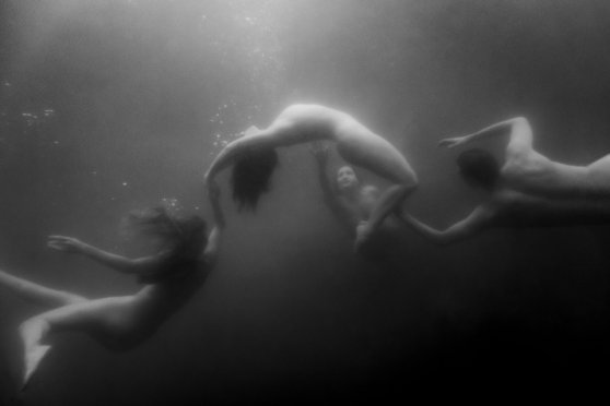 Im Wasser zuhause