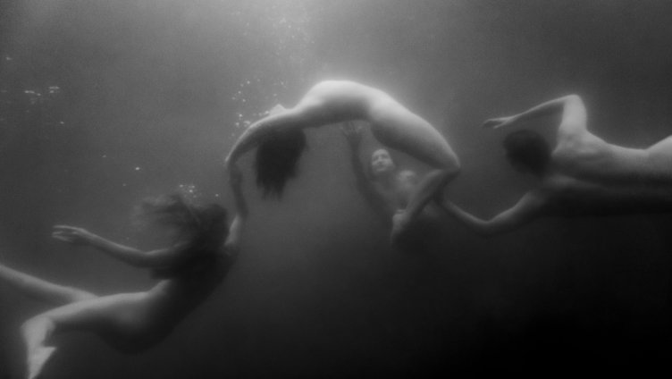 Im Wasser zuhause