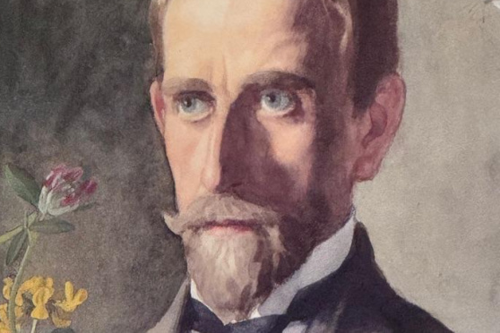 Ernst Kreidolf und das Licht hinter dem Dunkel