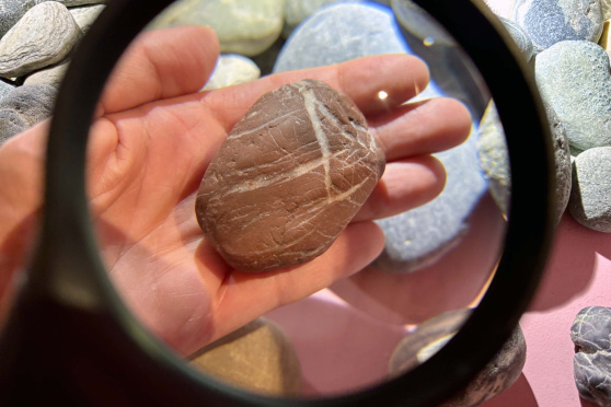 Woher kommen eigentlich Kieselsteine?