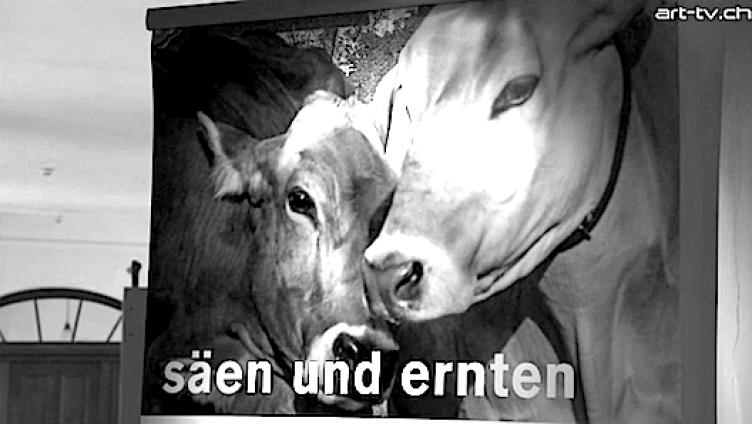 Säen und ernten im Video
